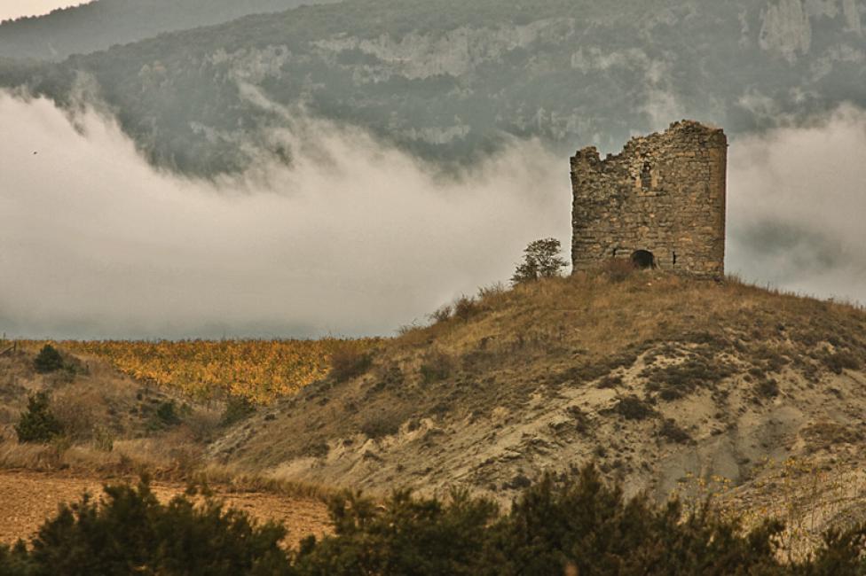 En las cercanías de Lumbier (Navarra)